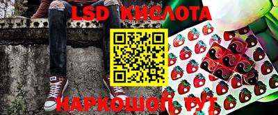 ПСИЛОЦИБИНОВЫЕ ГРИБЫ Бердск