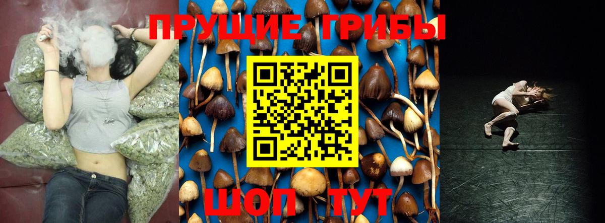 Псилоцибиновые грибы ЛСД  Псилоцибиновые грибы мухоморы  Вход с VPN  купить  цена  Верхняя Пышма 